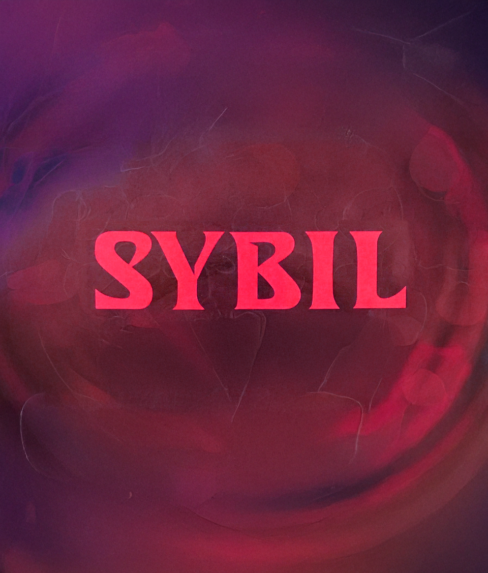 Dataset Highlight: Sybil Protection in Cryptonetworks